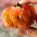 【食新食异】草莓西红柿静海特产5斤装
